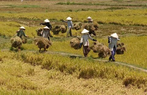 Sự Bùng Nổ Của Video Ngắn và Trí Tuệ Nhân Tạo: Vai Trò Thiết Yếu Của Đào Tạo Kỹ Năng Sáng Tạo Nội Dung