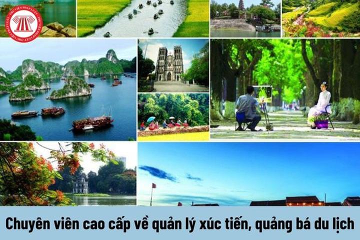 4 kiểu áo không thể thiếu - Cảm hứng video marketing từ Hotspot Matrix