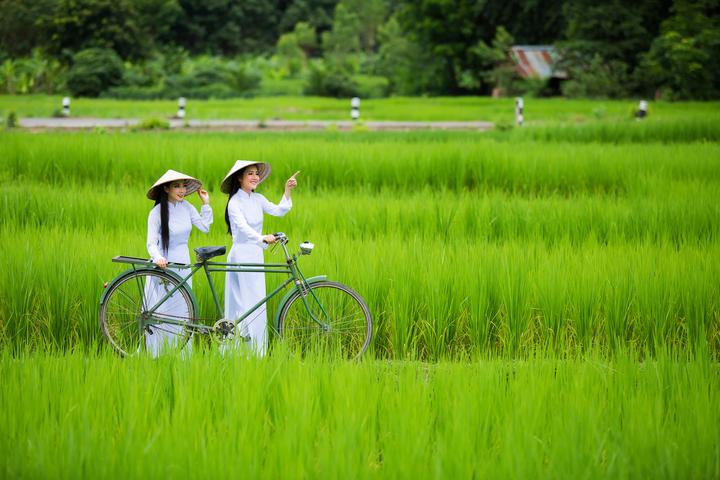 Nội dung: Mùa hè đang đầy vui vẻ với những bức tường nhảy vò đang xu hướng trên mạng