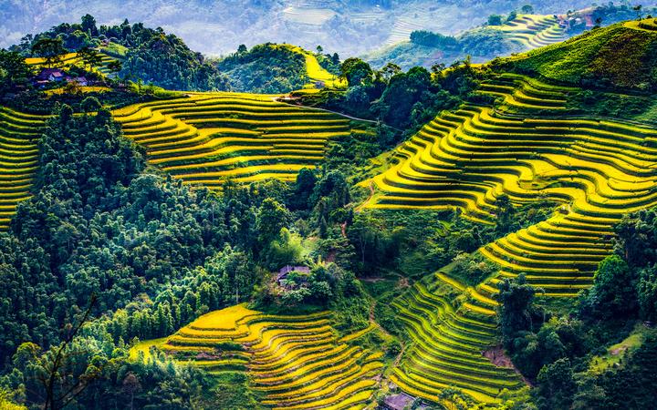 Nội dung: Mùa hè đang đầy vui vẻ với những bức tường nhảy vò đang xu hướng trên mạng