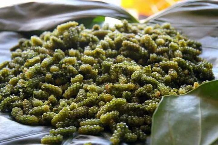 Từ Con gái