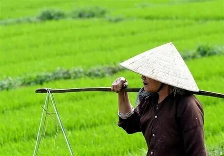 Từ Quán cơm nhà ở Hà Nội: 5 năm đến chiến lược content: Hotspot Matrix chia sẻ