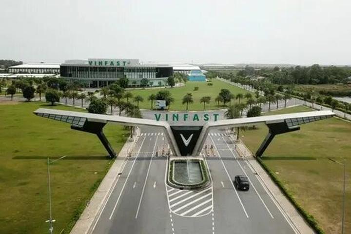 Xu hướng Loài cá kỳ lạ nhất châu Phi:: Hotspot Matrix tiết lộ bí quyết video viral